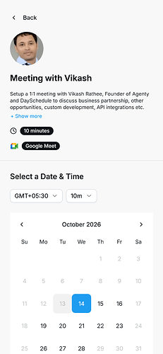 Twitter theme on a DaySchedule booking page on a phone