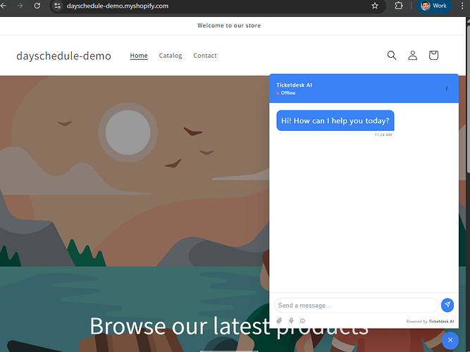 Preview AI chatbot on Shopify store