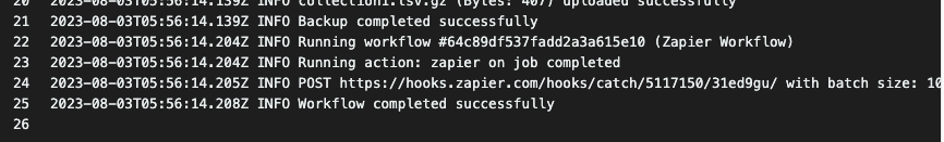 Zapier workflow logs